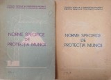 Norme specifice de protectia muncii pentru activitatea intreprinderilor de constructii-montaj si de deservire apartinand consiliilor populare (2 volum