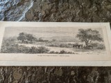 Gravura Lancelot,sec 19, 1860, Valahia,Stepa dintre Giurgiu si Bucuresti,25x9 cm, Peisaje, Grisaille, Realism