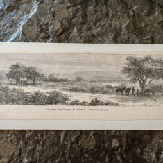 Gravura Lancelot,sec 19, 1860, Valahia,Stepa dintre Giurgiu si Bucuresti,25x9 cm