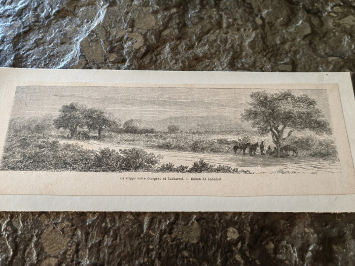 Gravura Lancelot,sec 19, 1860, Valahia,Stepa dintre Giurgiu si Bucuresti,25x9 cm