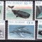 Noua Zeelanda 1988 fauna marina balene MI 1056-1061 MNH