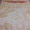 Disc vinil Phoenix - Cantofabule