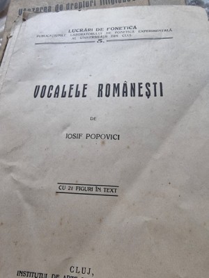 Iosif Popovici, Vocale romanesti foto