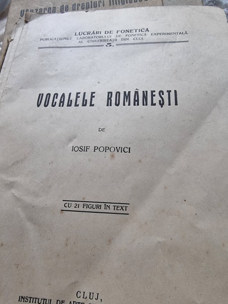 Iosif Popovici, Vocale romanesti