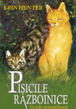 Pisicile Razboinice - Vol 5 - O Cale Primejdioasa