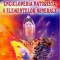 Enciclopedia naturistă a elementelor minerale
