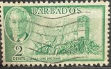 Barbados 2 Cents George VI &ndash; Sugar Cane Breeding &ndash; timbru colonial britanic circulat