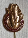 Evidentiat - Pentru 5000 kg de porumb la hectar neirigat - PROPAGANDA COMUNISTA - insigna din anii 1970 ( Republica Socialista Romania)