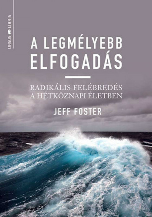 A legm&eacute;lyebb elfogad&aacute;s - Radik&aacute;lis fel&eacute;bred&eacute;s a h&eacute;tk&ouml;znapi &eacute;letben - Jeff Foster