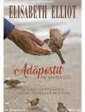 Adapostit in mana Lui - Scriptum