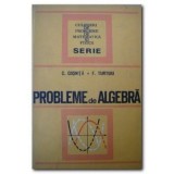 Cezar Cosnita, Fanica Turtoiu - Probleme de algebra