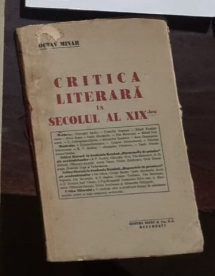 Octav Minar - Critica Literara in Secolul al XIX-lea foto