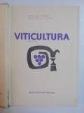 VITICULTURA de T. MARTIN ,EDITIA A II A ,1968 * PRIMELE TREIZECI DE FILE SUNT INTENS SUBLINIATE CU CREION DE CULOARE ROSIE
