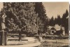 CPIB 22736 - CARTE POSTALA - BORSEC. VEDERE DIN PARC, RPR, Circulata, Fotografie