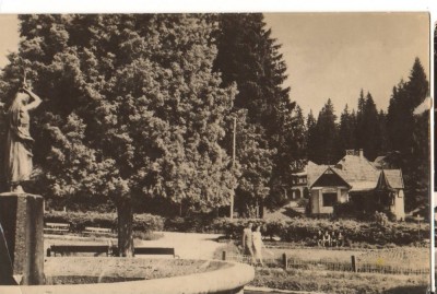 CPIB 22736 - CARTE POSTALA - BORSEC. VEDERE DIN PARC, RPR foto