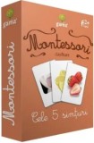 Cumpara ieftin Montessori. Clasificare. Cele 5 simturi/***
