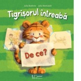 Tigrisorul intreaba: De ce? - Julia Boehme, Julia Bierkandt