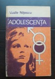 Adolescența - Vasile Nițescu