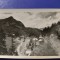 LACUL ROȘU VEDERE PANORAMICA FOTOFILM