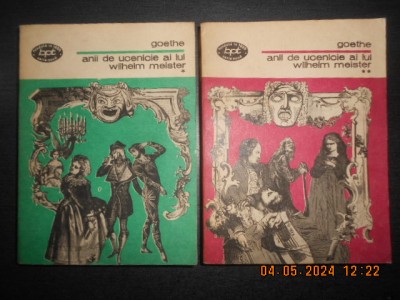 Johann Wolfgang Goethe - Anii de ucenicie ai lui Wilhelm Meister 2 volume foto
