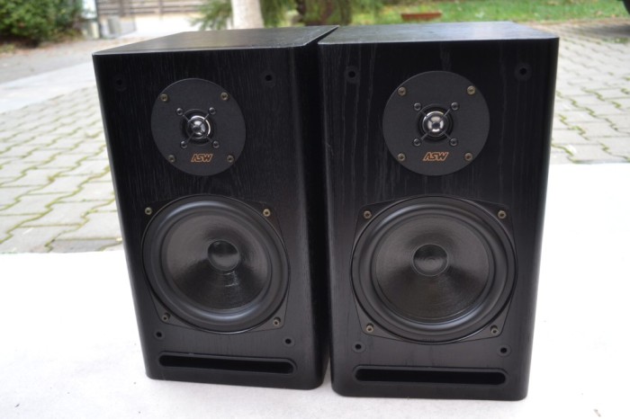 Boxe ASW Cantius ML II MK 2