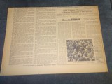 ZIARUL ROMANIA LIBERA 9 AUGUST 1955