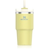 Stanley Quencher H2.O FlowState&trade; Tumbler pahar din oțel inoxidabil cu pai mic Pomelo 590 ml