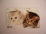 B11 42 - Carduri si cartele telefonice - Japonia - Pisici - piesa de colectie
