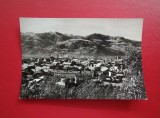 CARTE POSTALA - RPR - PETROSANI - VEDERE GENERALA