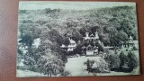 Carte postala, Sovata Bai, Vilele la tara sub padurea Capolnas, 1928