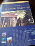 Les Champs Phlegreens, guide &agrave; la d&eacute;couverte des terres de feu - Massimo DAntonio