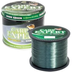 Fir CARP EXPERT DARK GREEN 0.35 MM 1200M foto