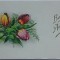 Felicitare , Bonne Ann&eacute;e