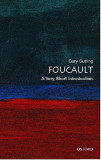 Foucault | Gary Gutting, Oxford University Press