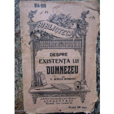 DESPRE EXISTENTA LUI DUMNEZEU - NEDELEA GEORGESCU