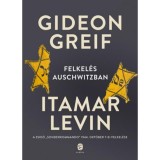 Felkel&eacute;s Auschwitzban - A zsid&oacute; "Sonderkommando" 1944. okt&oacute;ber 7-ei felkel&eacute;se - Gideon Greif
