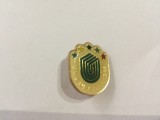 insigna universiada bucuresti 1981 RSR romania epoca de aur fan sport hobby