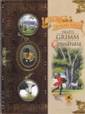 Fratii Grimm - Cenusareasa (Cele mai frumoase povesti, volumul 2)