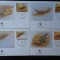 Congo-WWF,FDC Crocodili-set complet