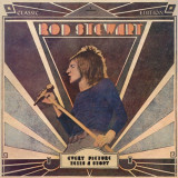 Cumpara ieftin Rod Stewart - Every Picture Tells a Story (Vinyl), Pop, Mercury
