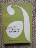 SALCIA SUPARATA - STEFAN LUCA