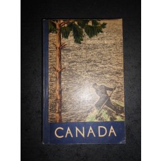 CHRISTACHE STAN - CANADA