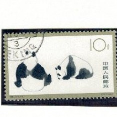 China 1963 - Giant panda, serie stampilata