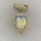 Insigna fruntaș &icirc;n gospodărirea orașului 1983