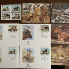 tschad - serie 4 timbre MNH, 4 FDC, 4 maxime, fauna wwf