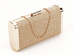 GEANTA CLUTCH CHAMPAGNE SORANA foto