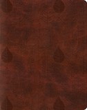 Single Column Journaling Bible-ESV-Leaves Design