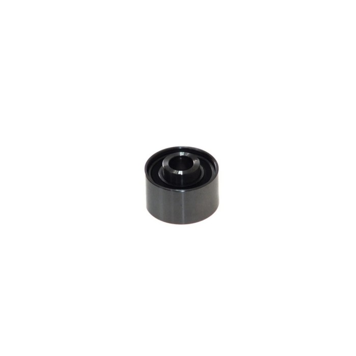 Rola ghidare HYUNDAI TERRACAN HP DAYCO ATB2421