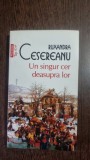 Un singur cer deasupra lor - Ruxandra Cesereanu