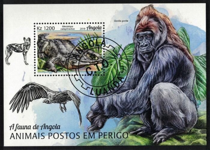 ANGOLA 2018 - Fauna in pericol / colita